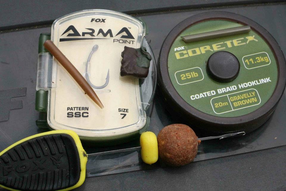 FOX - 4181783043868696189011633704308n.jpg